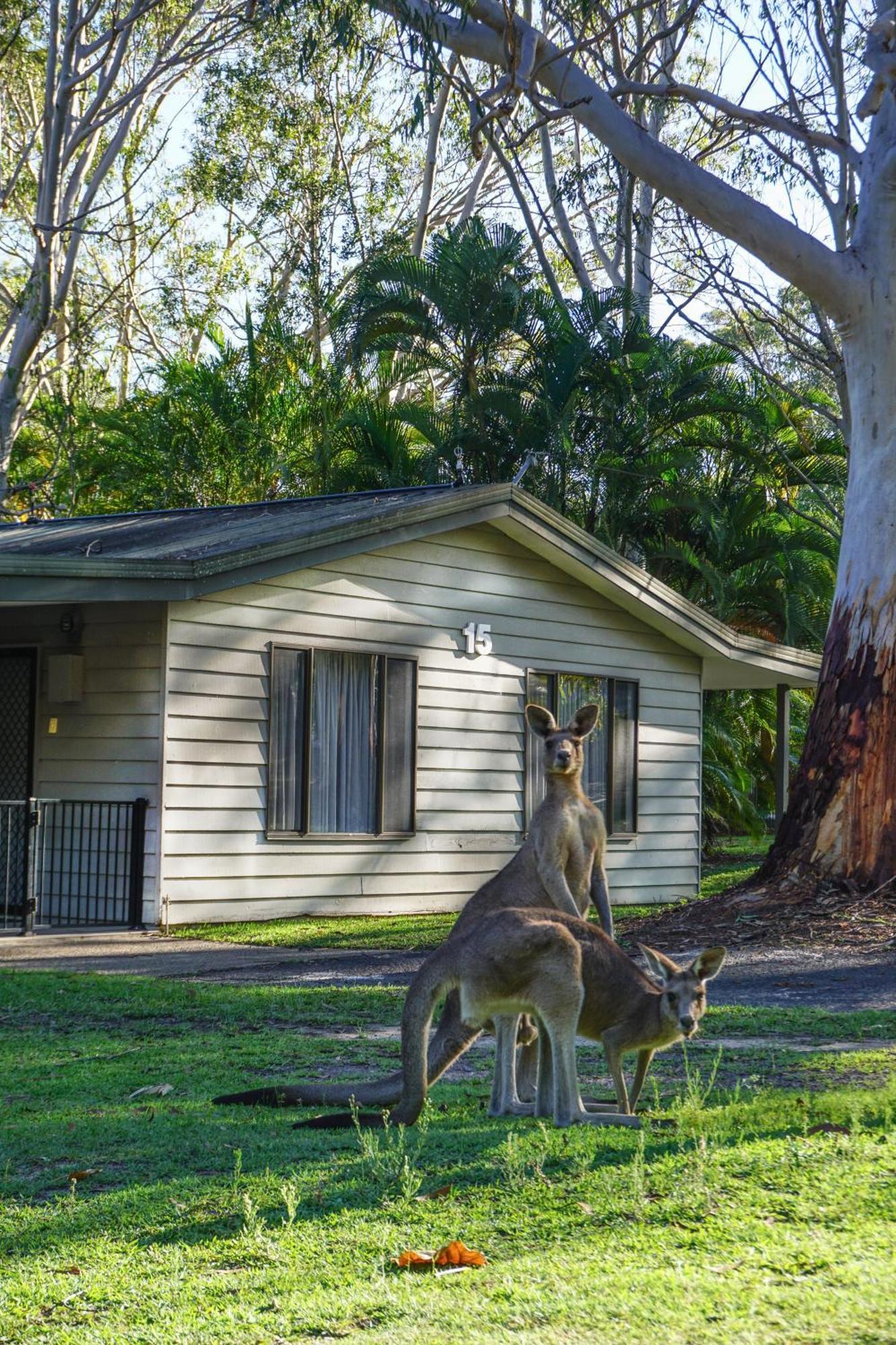 Big4 Noosa North Shore Luaran gambar